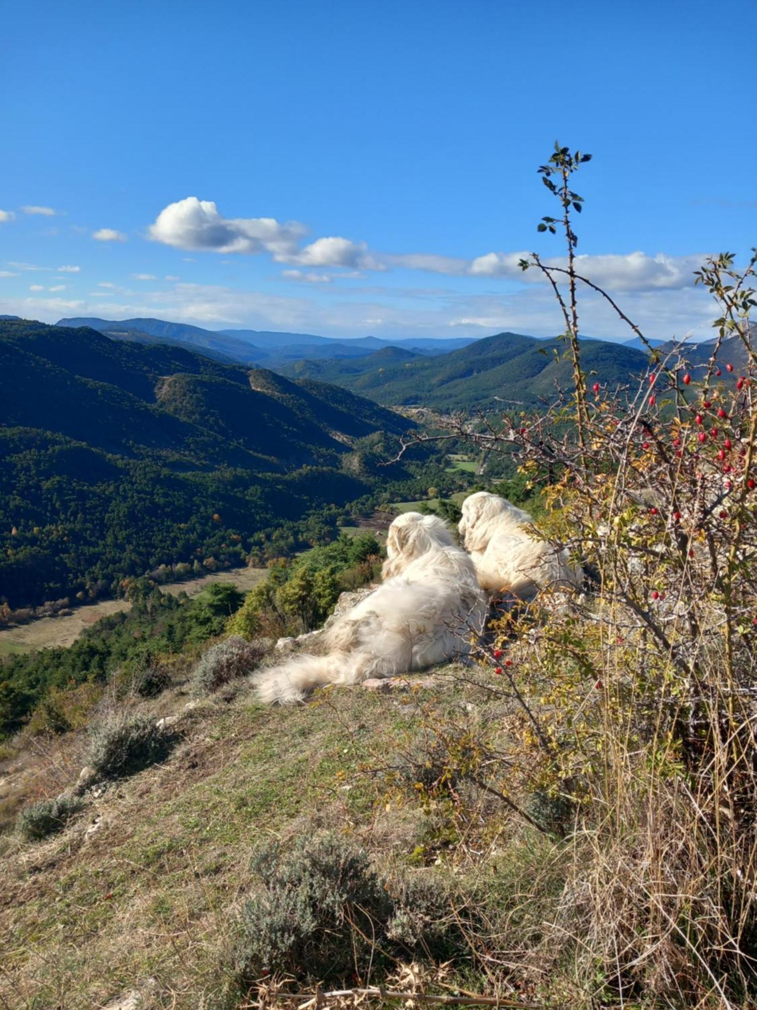 Gite La Mountagna Peyroules Zewnętrze zdjęcie